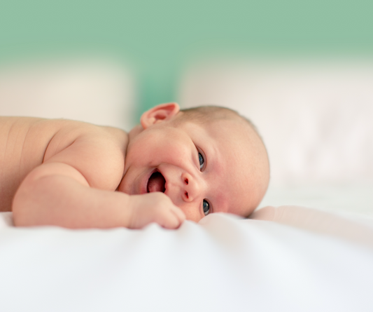 Nourishing Foods for Your Baby and Toddler