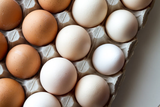 Cholesterol: Is it Really Bad?