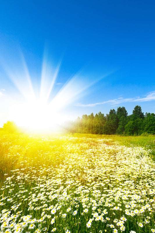 vitamin d