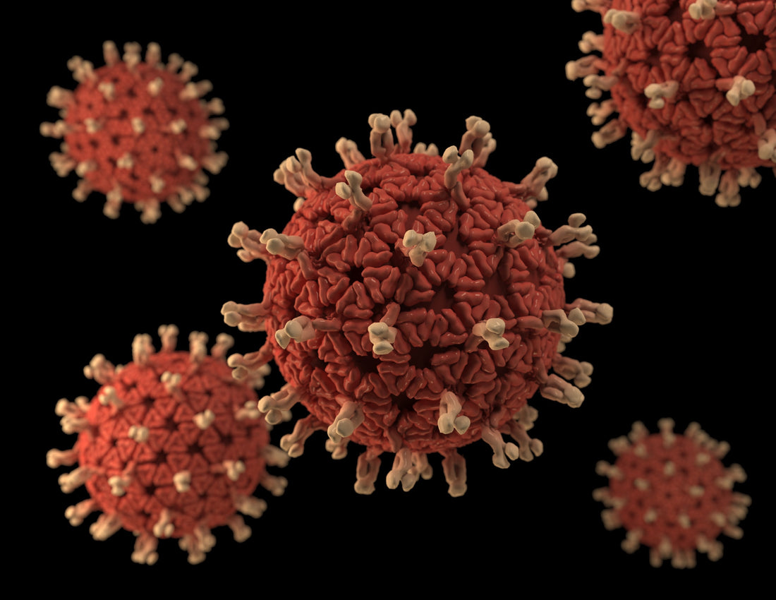 How to Support Your Immune System During a Virus